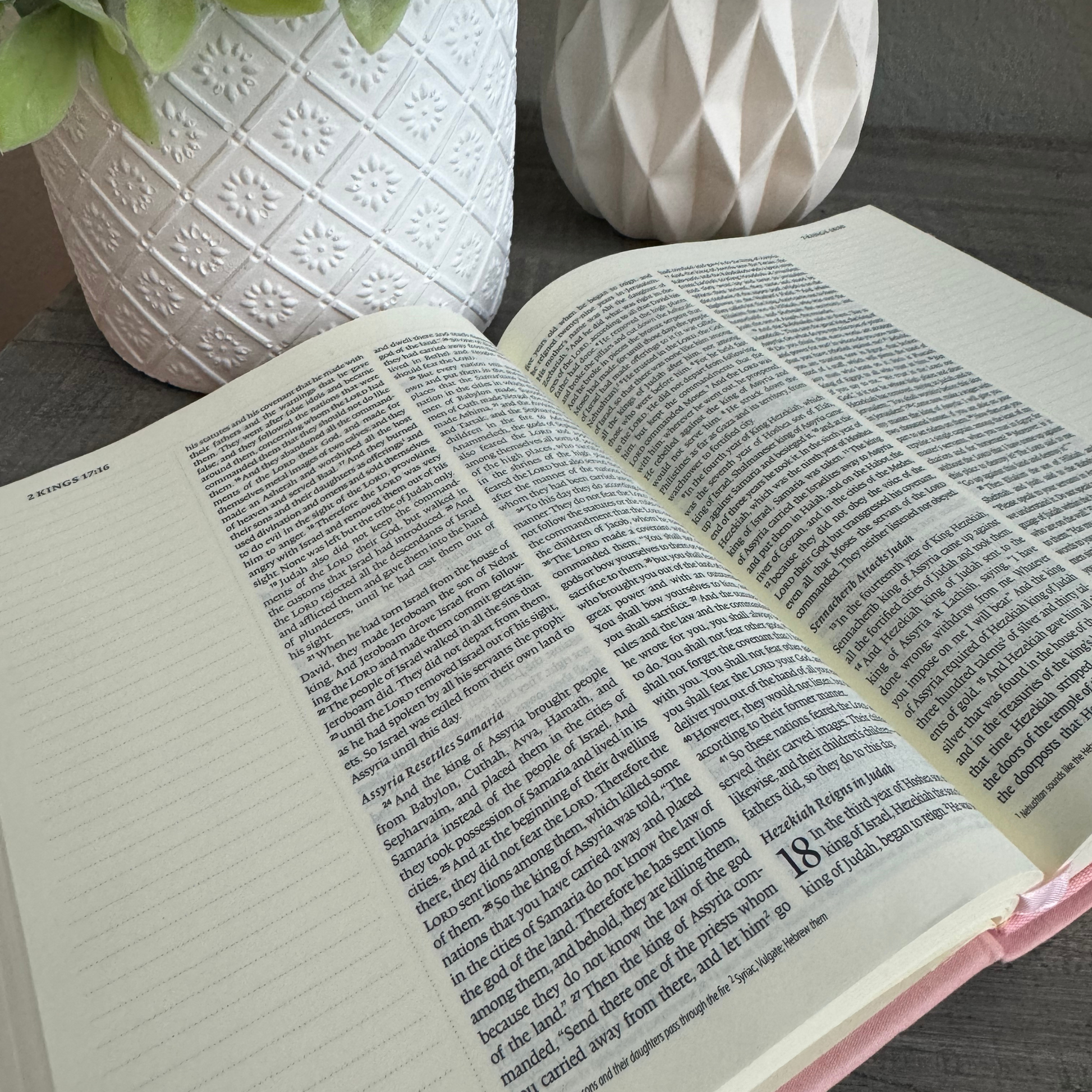 Capture your thoughts and inspirations with the ESV Journaling Bible 