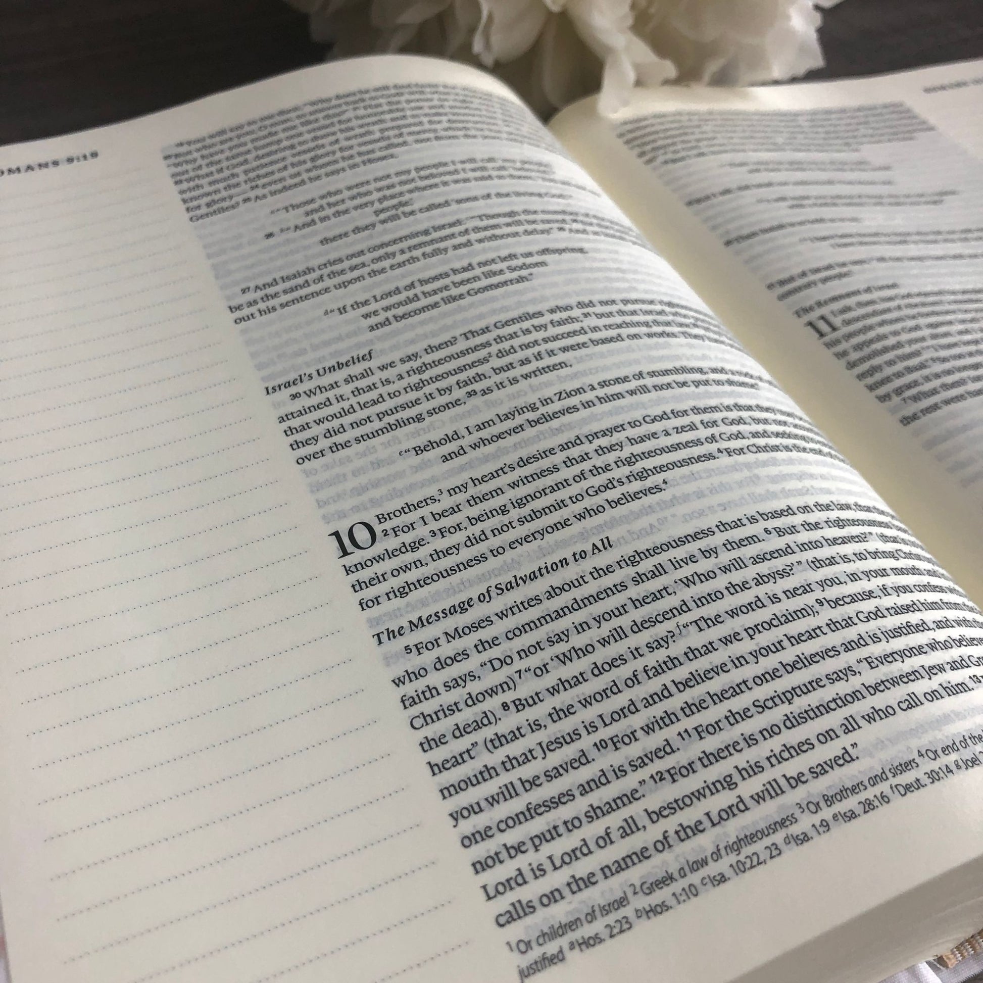ESV Journaling Bible Inside Pages