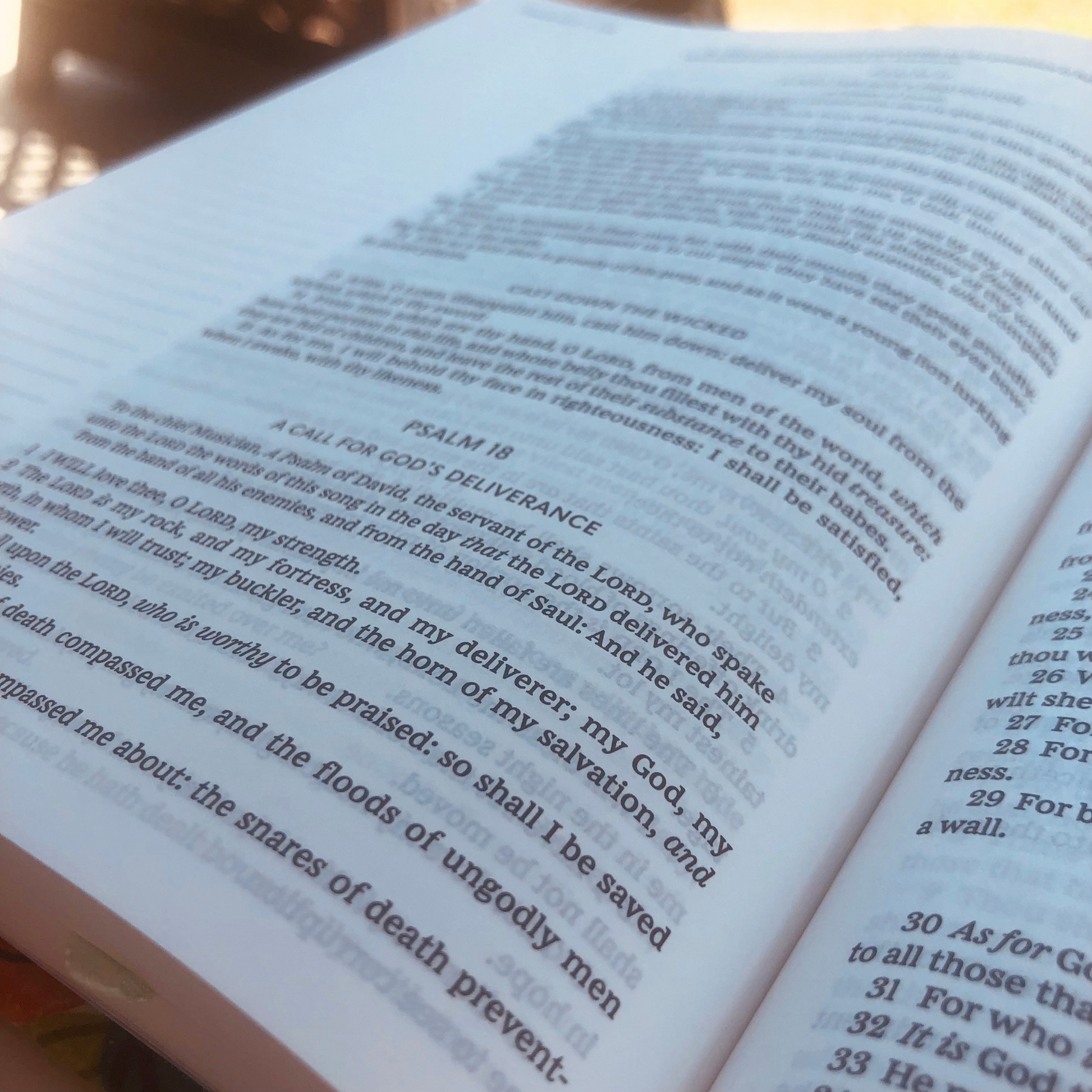 Wide Margins Designed for Creative Expression in the KJV Streets of Israel Journaling Bible