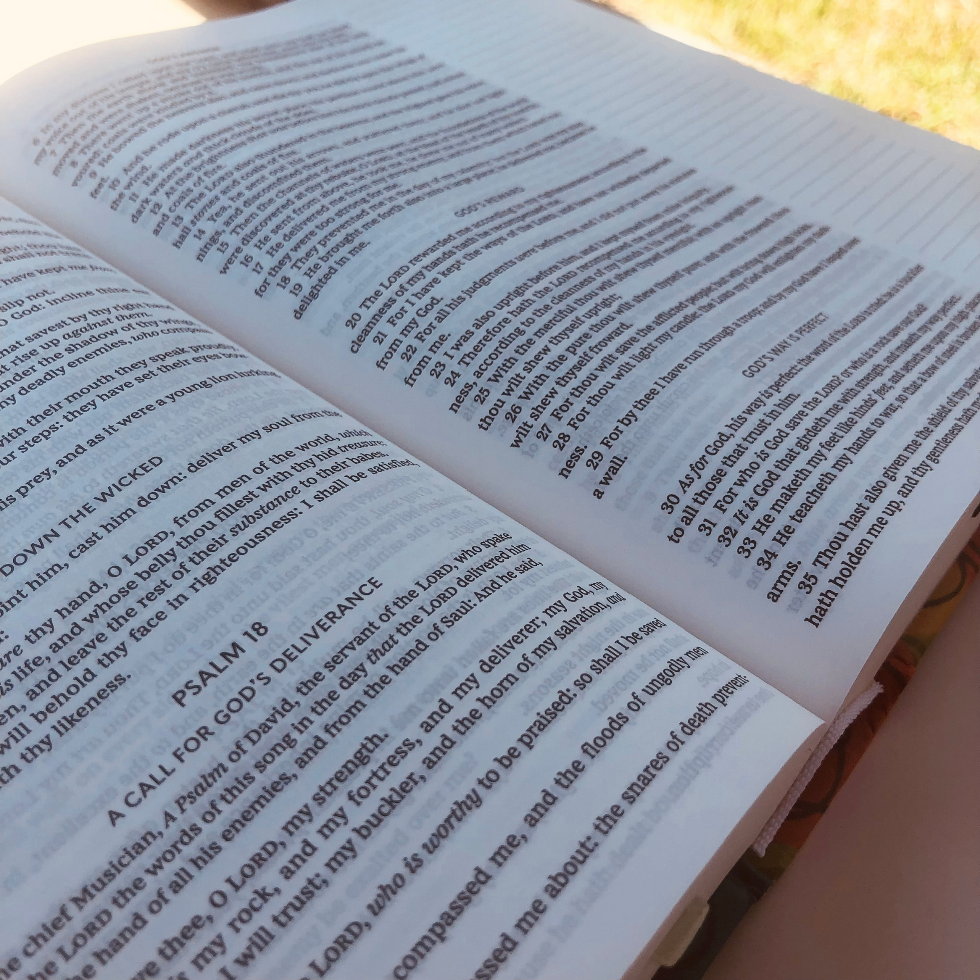 Wide Margins Designed for Creative Expression in the KJV Journaling Bible