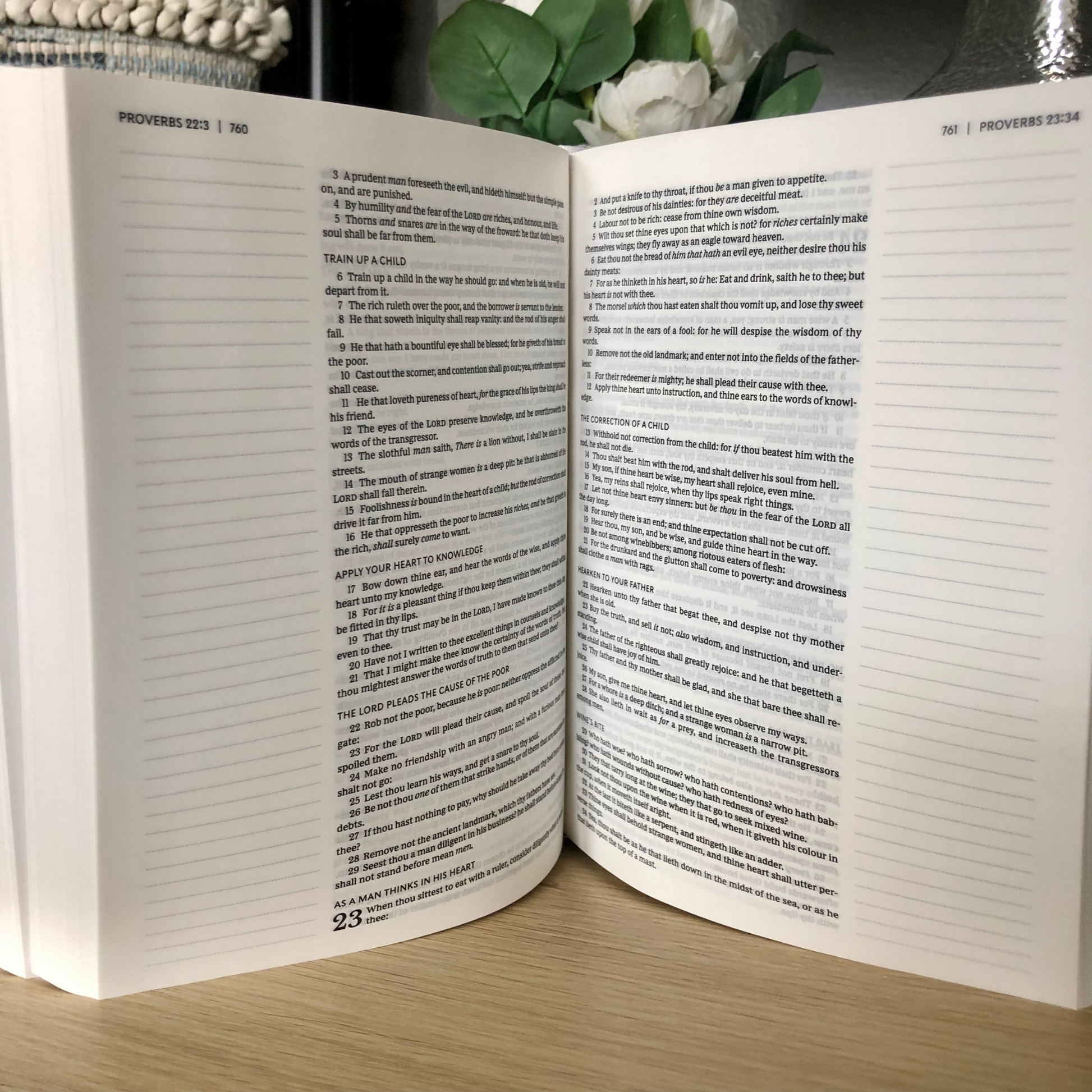 Lined Pages for Personal Reflections in the KJV Streets of Israel Journaling Bible